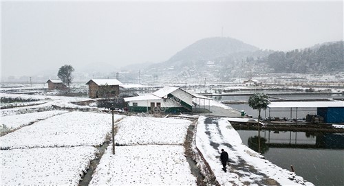 红光村渔场