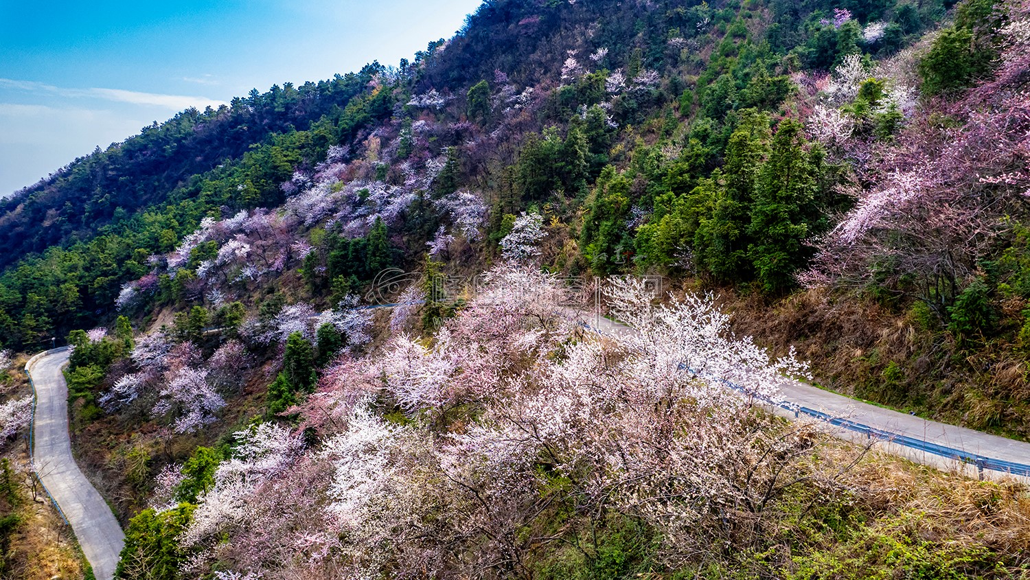 赏花的好地方