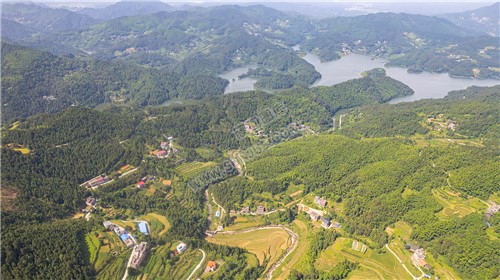 西山峡谷