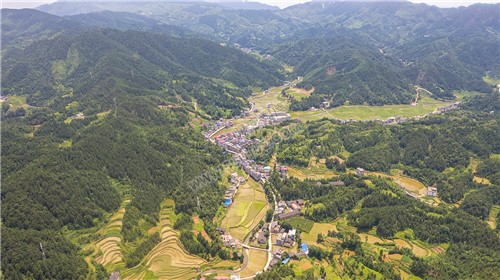 西山村
