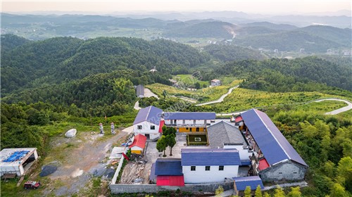 朝京山寺