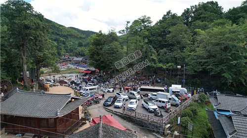 隆回崇木凼古树林