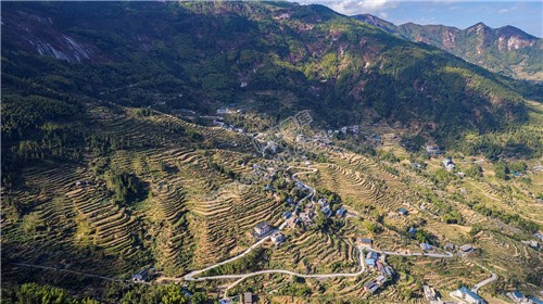 白水洞村