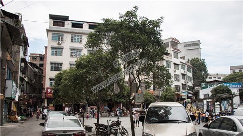 三合街 大井边上的广场