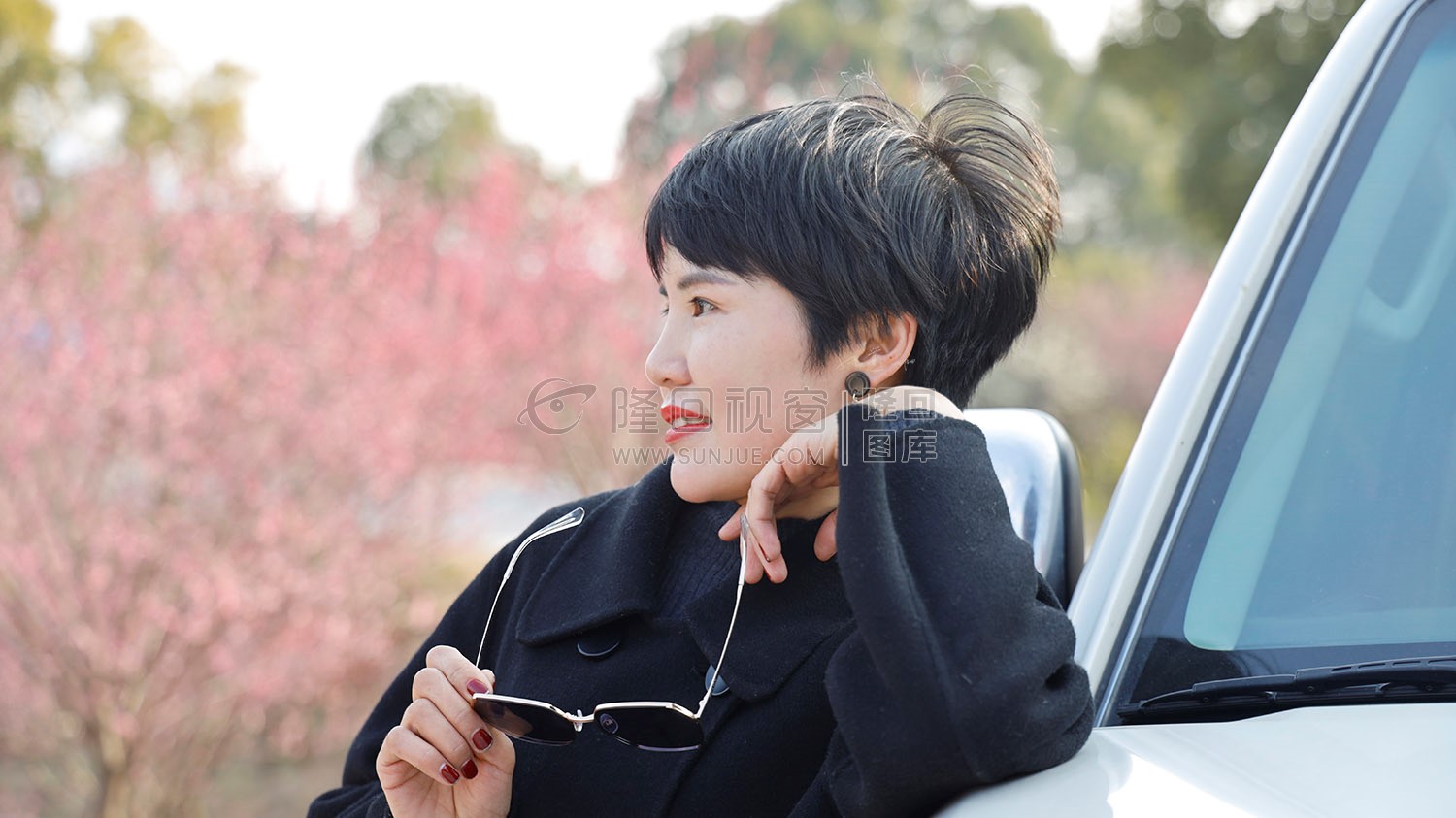 七江守拙园的梅花开了