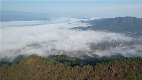 乡村的早晨，荷田玖鹅水厂航拍
