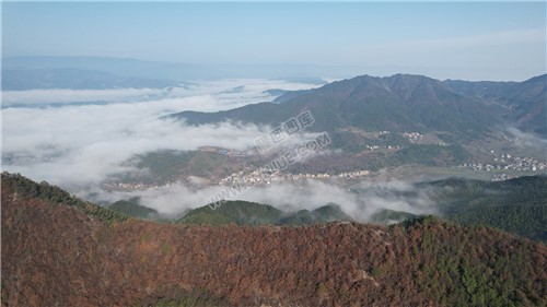 乡村的早晨，荷田玖鹅水厂航拍