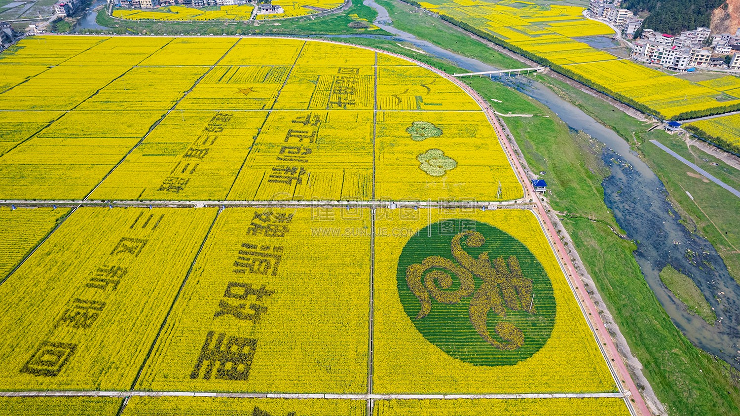 石山湾油菜花基地