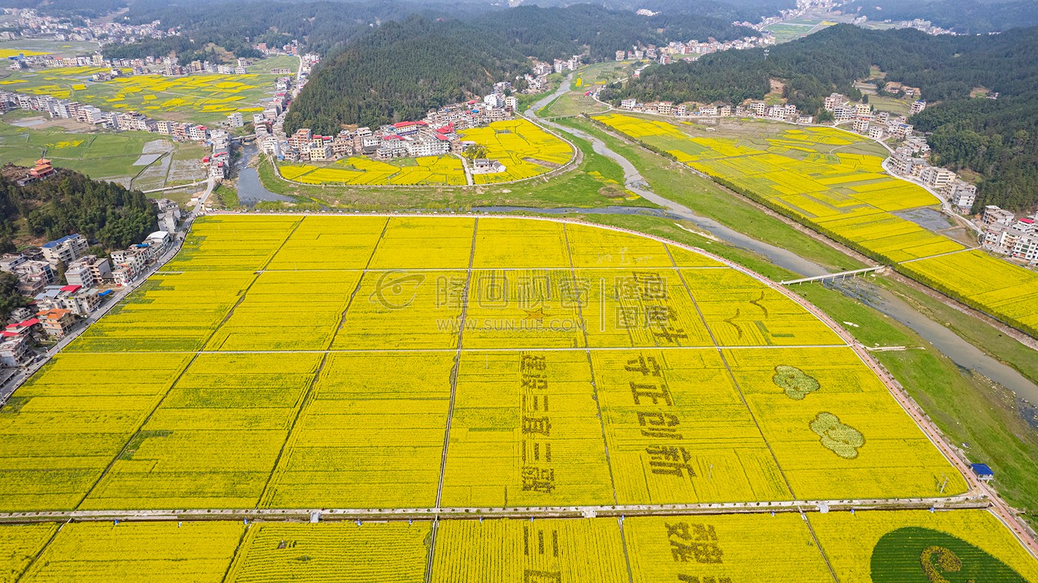 石山湾油菜花基地
