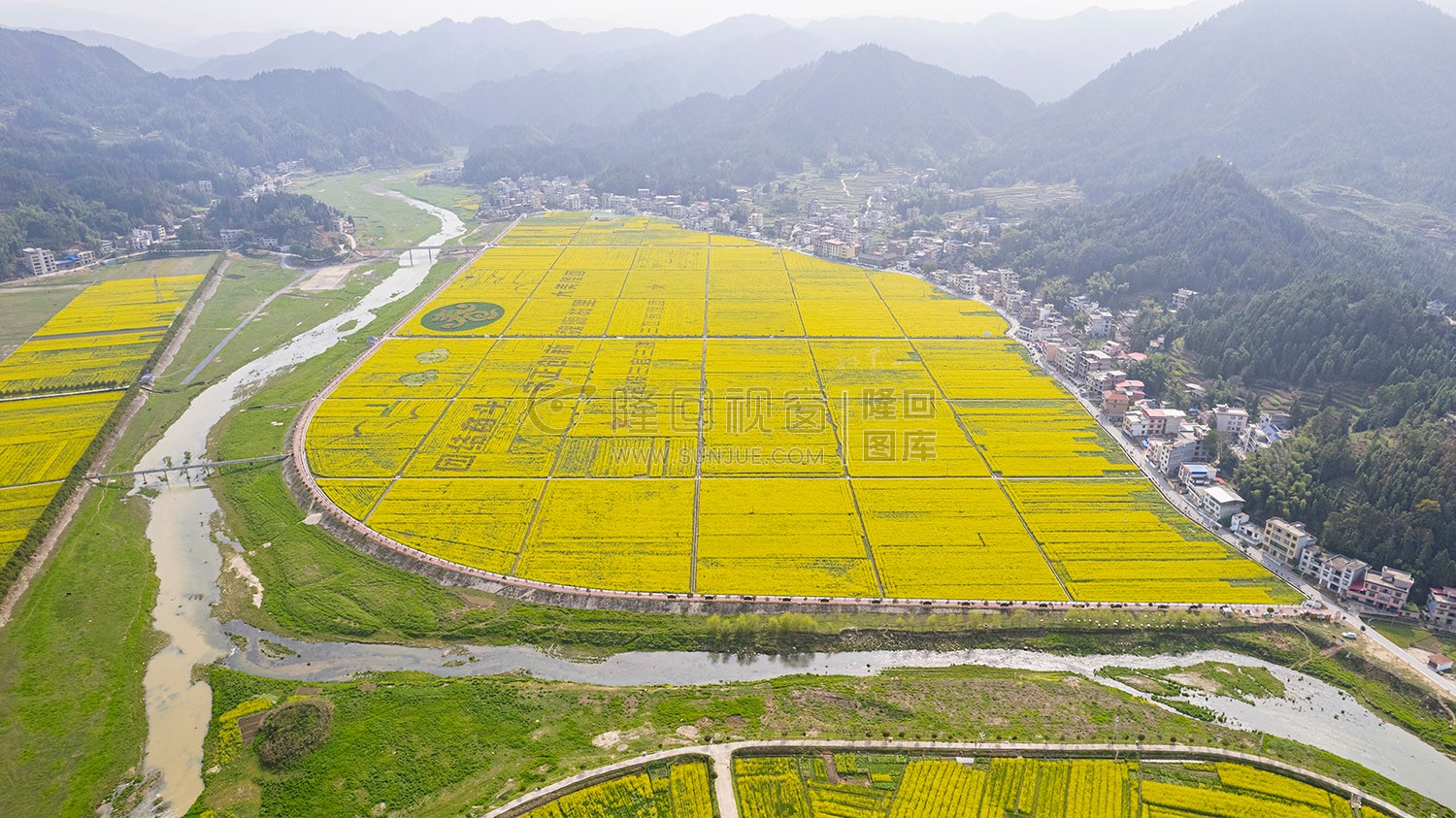 石山湾油菜花基地