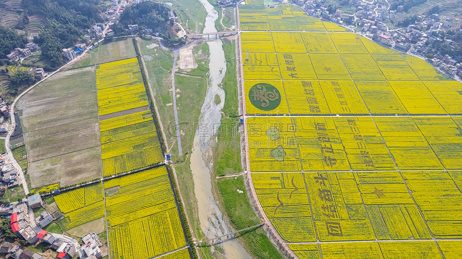 石山湾油菜花基地