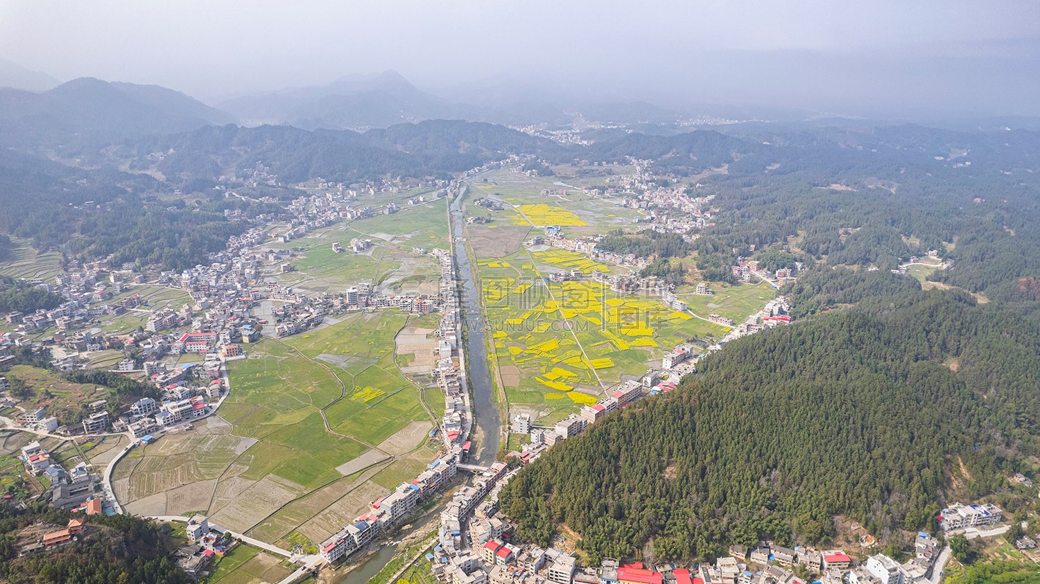 石山湾油菜花基地