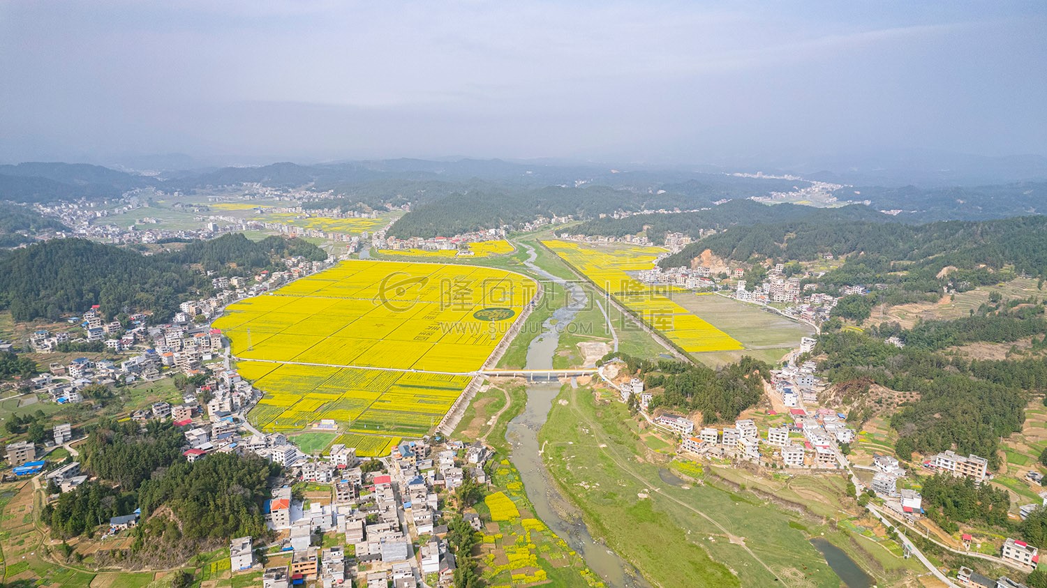 石山湾油菜花基地