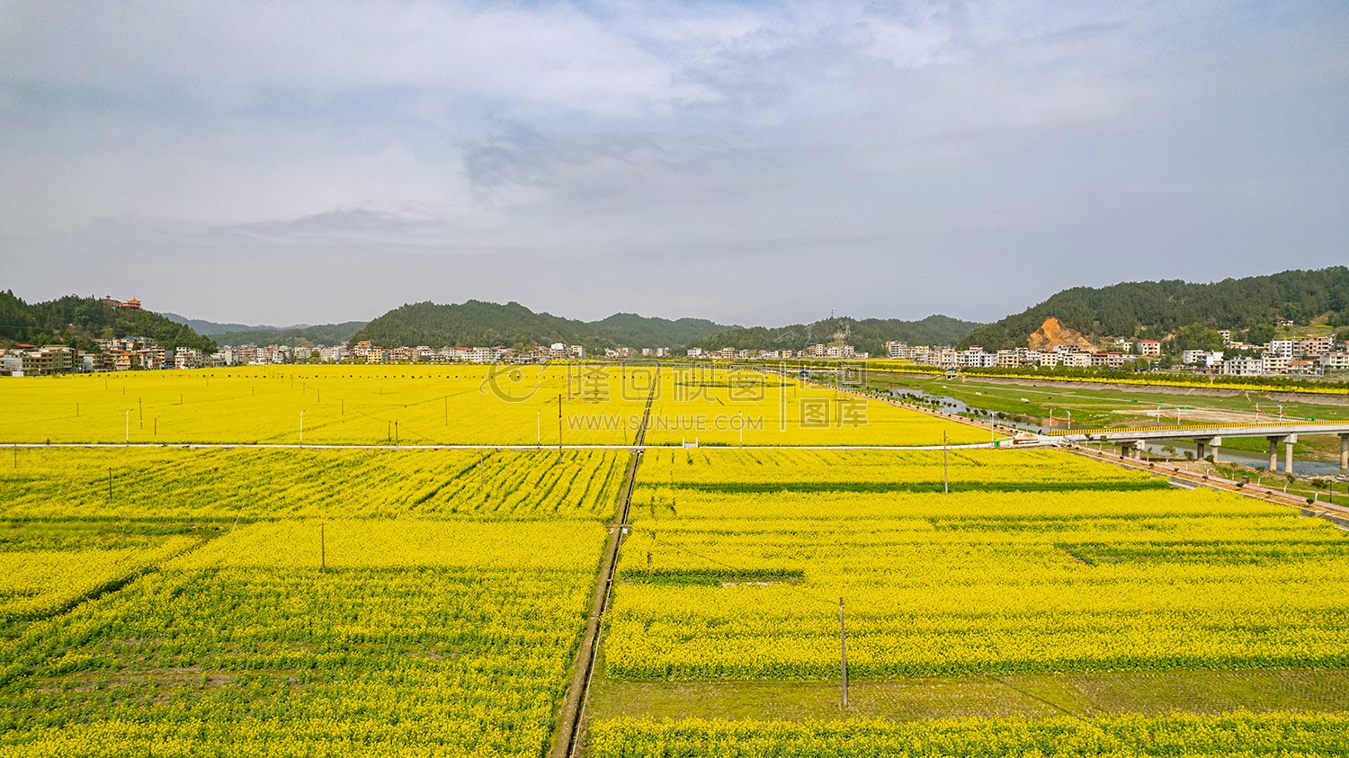 石山湾油菜花基地