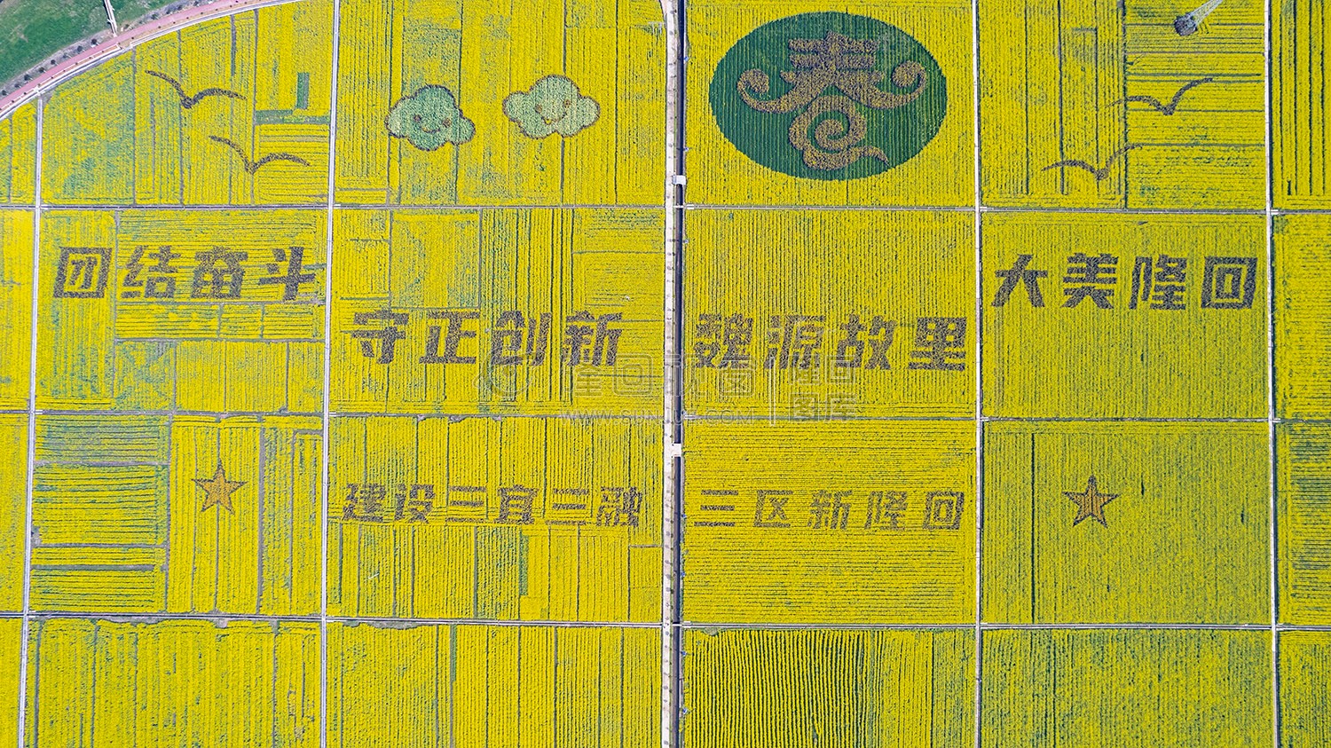 石山湾油菜花基地