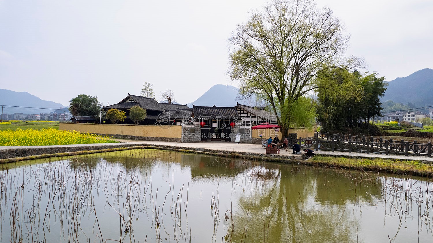 魏源故居的油菜花
