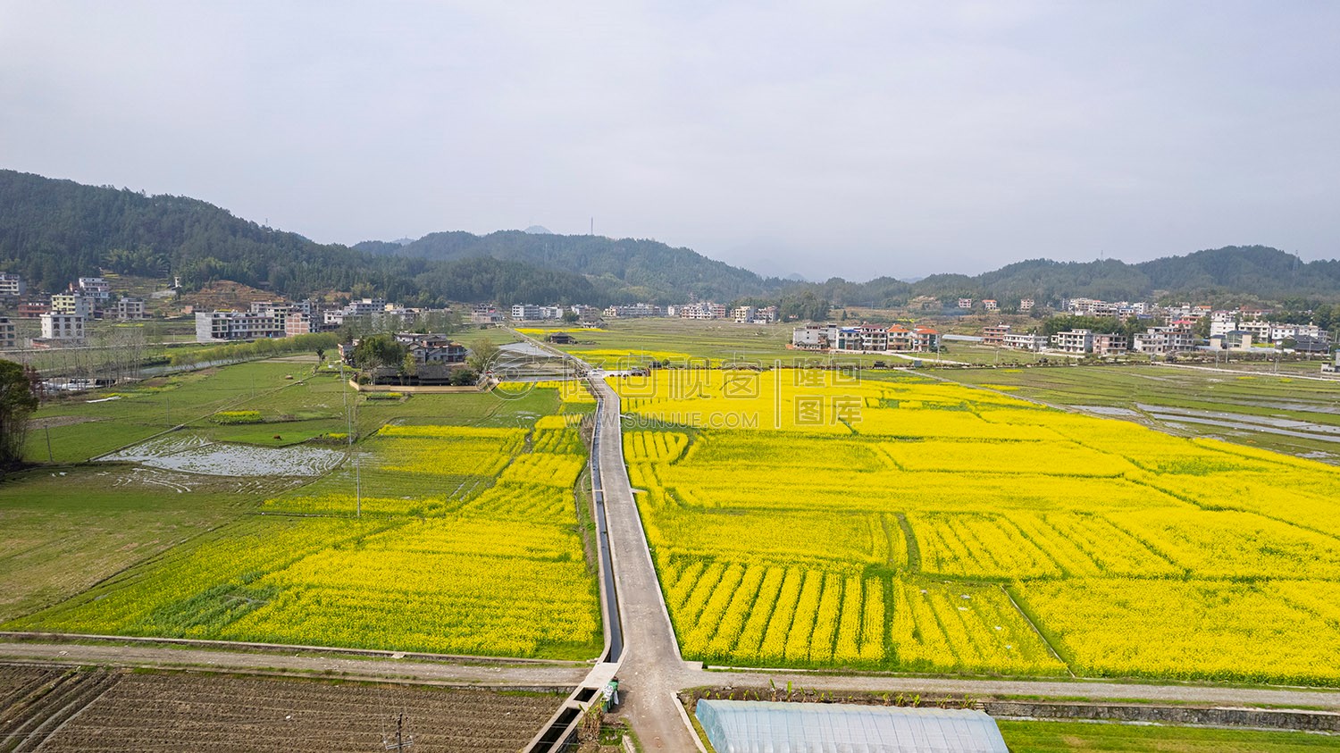 魏源故居的油菜花
