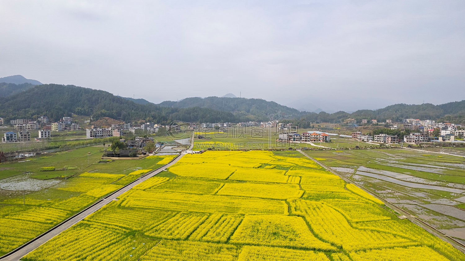 魏源故居的油菜花
