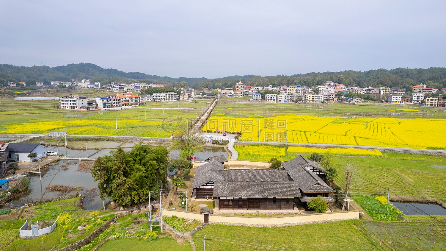 魏源故居的油菜花