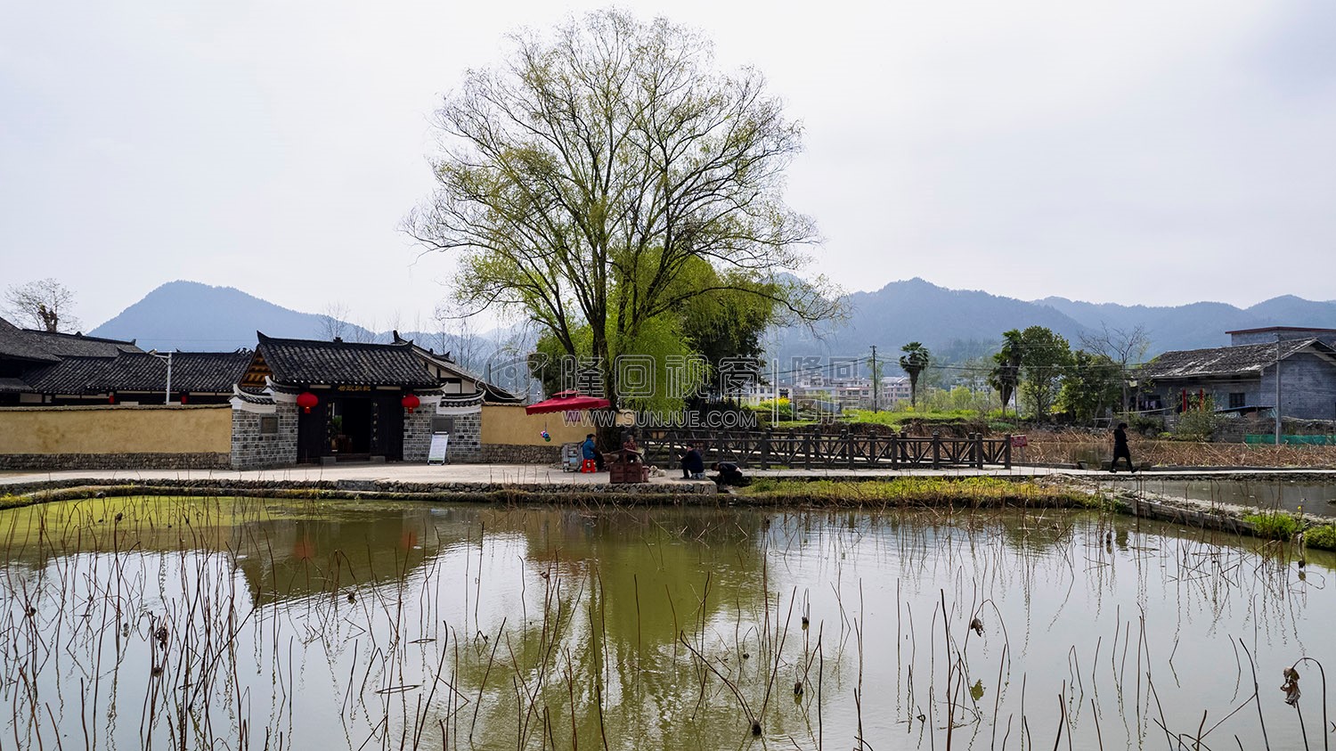 魏源故居的油菜花