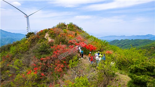 十重大界，一脚踏三县