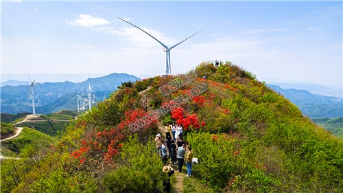 十重大界，一脚踏三县