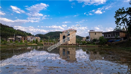 优先村的晚春