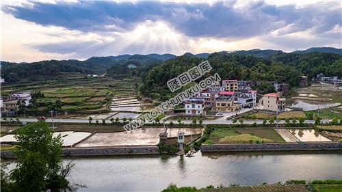 优先村的晚春