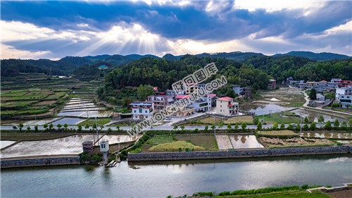 优先村的晚春