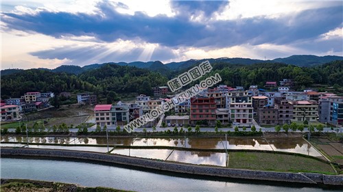 优先村的晚春