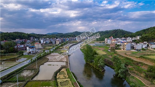 优先村的晚春