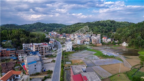 优先村的晚春