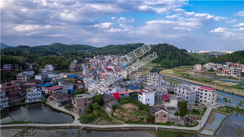 优先村的晚春