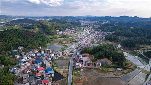 优先村的晚春