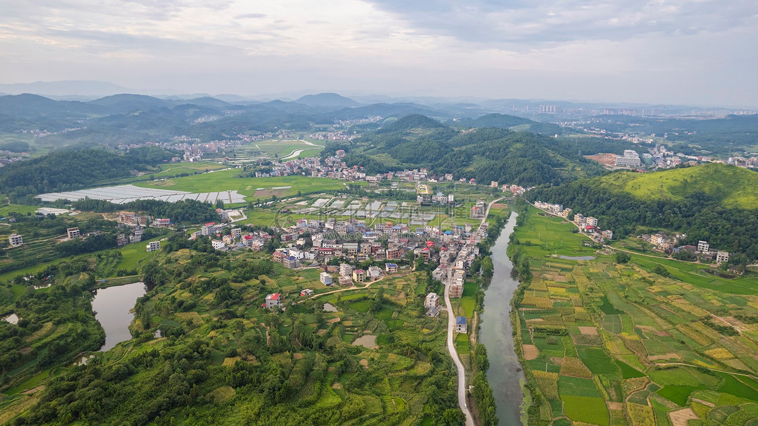 乐荷村，乐居田与荷叶合并