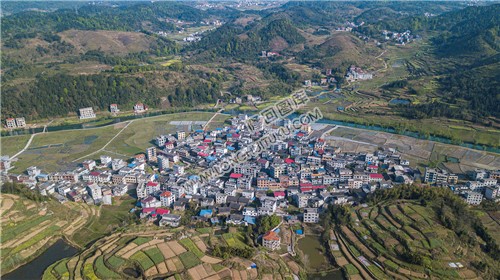 车田村的春天