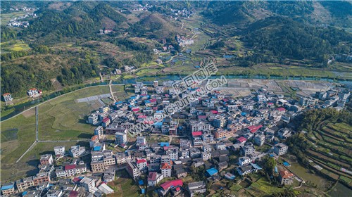 车田村的春天