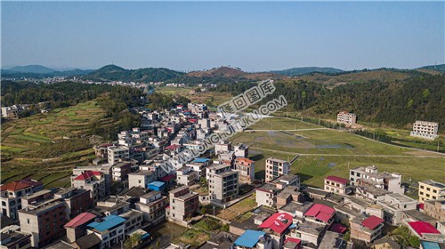 车田村的春天