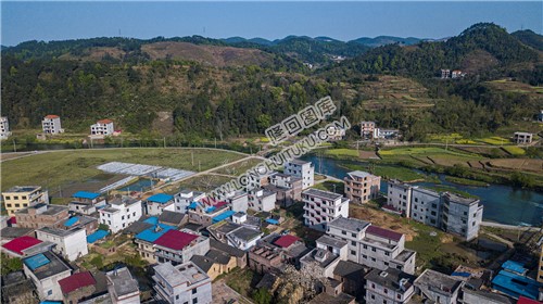 车田村的春天