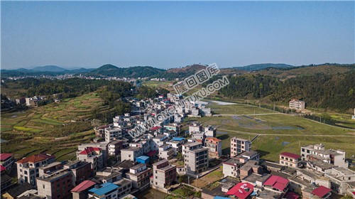 车田村的春天