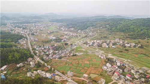石岭村