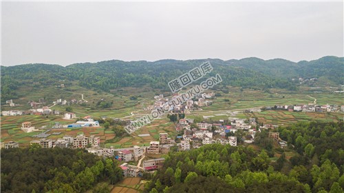 石岭村