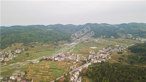 石岭村