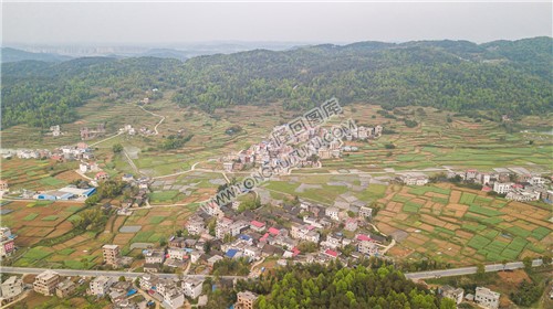 石岭村