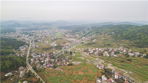 石岭村