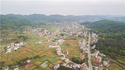 石岭村