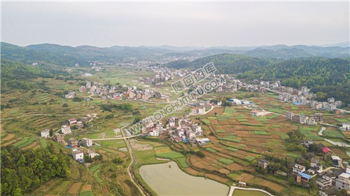 石岭村