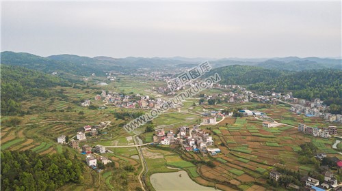 石岭村