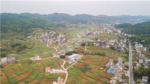 石岭村