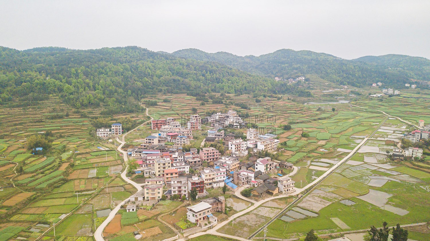 石岭村